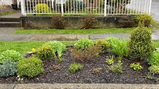 Garden Tour Boulevard Flower Bed 4K  April 8 2024 [upl. by Chaiken]