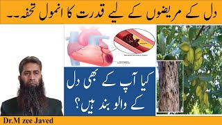 How to use Arjuna  what are the benefits of Arjuna  Treatment of myocarditis Endocarditis [upl. by Chryste]