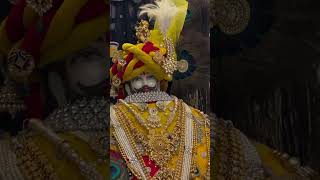 happy trendingshorts shyaam shyambaba baba khatushyam viralvideo video trending [upl. by Le]