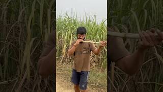 Morning Workout Schedule rahuldhandaliya babakidyatai fitnessplan trending shrots [upl. by Troth]