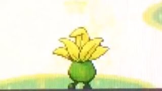 Random Shiny Oddish Pokemon Emerald [upl. by Sirap]