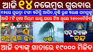 todays morning news odisha14 November 2024subhadra yojana online apply processodisha news today [upl. by Gay404]