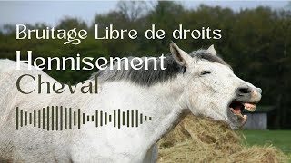 Hennissement du Cheval  Bruitage Libre de Droit [upl. by Libna51]