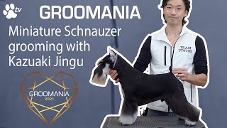 Miniature Schnauzer Grooming with Kazuaki Jingu  Groomania 2021 Grooming Demonstration [upl. by Retxed]