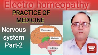 ElectroHomeopathy physiology Nervous system Brain part2 [upl. by Jovi]