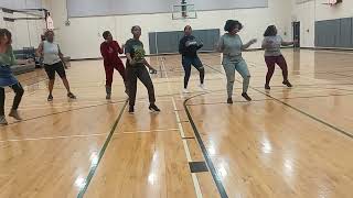 Line Dance Mississippi Cha Cha Slide ft DJ Slide [upl. by Woodson]