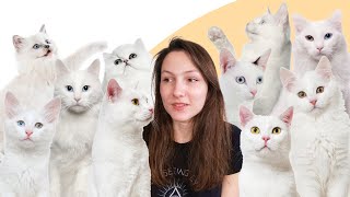 7 Facts You Didnt Know About White Cats [upl. by Hughie107]