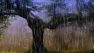 Fall Asleep in 5 Minutes with Soft Rain Sound  Natural Rain Sound for Deep Sleep and Relaxation [upl. by Ainocal]