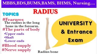 RADIUSRADIUS BONEUPPER LIMB ANATOMY [upl. by Hephzipa862]