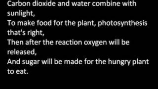 Mr Lee  Photosynthesis verse [upl. by Wilkens]