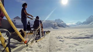 Musher’s Camp and Sled Dog Discovery in Skagway Alaska [upl. by Draude]