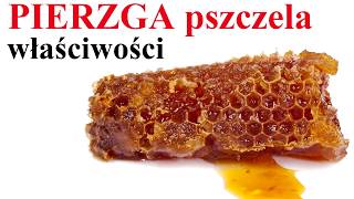 PIERZGA pszczela  właściwości zastosowanie [upl. by Underwood]