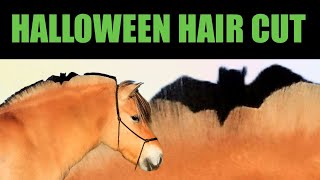 HALLOWEEN MANE TRIMMING ON MY FJORD HORSE [upl. by Anaerol]