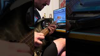 Alternate Picking 🫡 guitar guitarra guitarist [upl. by Vivian]