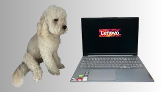 Wymiana matrycy Lenovo IdeaPad 5 Pro 16ACH6  zbita matryca 16quot ekran WQXGA  naprawa laptop serwis [upl. by Bartholemy578]