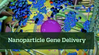 Nanoparticle Gene Delivery [upl. by Lolly661]