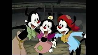 Animaniacs Wakkos Wish VHS Release Trailer 1999 [upl. by Mendelsohn862]