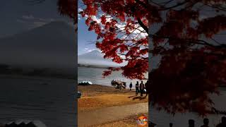 සරත් ඍතුවAutumnJapan japanviralshortstravelworldkawaguchikonaturecarloverbloggerautumn [upl. by Nedyaj]