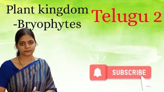 Plant kingdom  Bryophytes in telugul Class 11 NCERT Neet Biology l LATHA AKULA Biology Tutorialsl [upl. by Gent690]