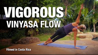 Vigorous Vinyasa Flow Yoga Class 30 min  Five Parks Yoga [upl. by Lesly]