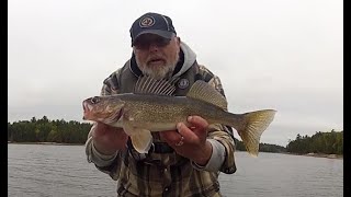 Late September Walleye Fishing on The Winnipeg River in Ontario [upl. by Lissner]