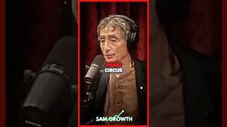 Dr gabor Mate Explains Anxiety in Children shorts [upl. by Oremar]