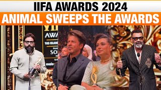 IIFA Awards 2024 LIVE Animal Sweeps the Awards Shah Rukh Khan Shines as Best Actor  News9 [upl. by Fronniah]