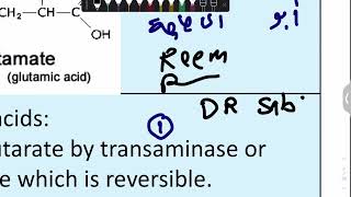 Bio 3A Acidic A A Aspartate And Glutamate 1 [upl. by Dearden]