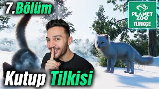 7Bölüm Kutup Tilkisi ve Aslan Porsuğu Planet Zoo Türkçe [upl. by Herriott]