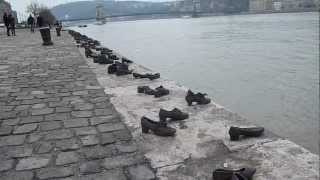 Danube Budapest Szechenyi Chain Bridge [upl. by Annoed750]