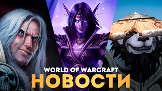 БОЛЬШОЙ АНОНС ОТ BLIZZARD Теперь Wow сильно изменится [upl. by Niledam]