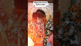 Dakor na thakor 🙏🏻bhajan dakor krishna ભજન viralreels trending [upl. by Pillihp]