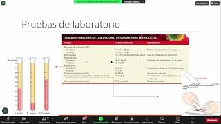 clase teórica de FISIOPATOLOGIA  26 09  2024 [upl. by Lleunamme]