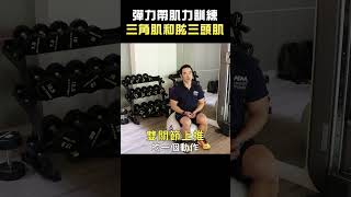 彈力帶肌力訓練丨三角肌和肱三頭肌【AFAA運動小教室】 Resistance bands Training resistancebands weighttraining [upl. by Ume]