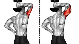 Dumbbell Only Tricep Workout For Bigger Arms [upl. by Aicittel]