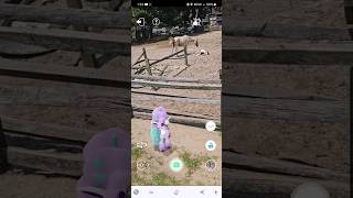 🐎🐴🎠🦄 Chincoteague Island Virginia AR pokemongo Ponyta unicorn horses ChincoteagueIsland [upl. by Fischer]