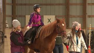 Hippotherapy Using Equine Movement in Clinical Practice Full Video [upl. by Claudette]