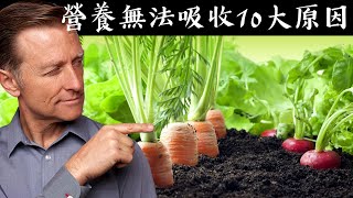 前10名阻礙營養因素自然療法柏格醫生 Dr Berg [upl. by Jonati623]