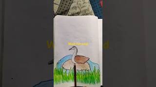 🍁 Bird drawing 🍁 Western Grebe on Floating Nestshortvideo art drawing birds viral ytshorts [upl. by Gide355]