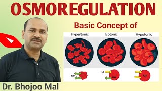 Osmoregulation  What is Osmoregulation  Hypertonic  Hypotonic  Isotonic  by Dr Bhojoo Mal [upl. by Blossom15]