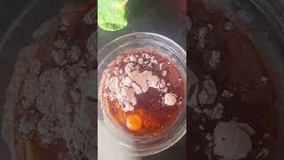 3 ingredients chocolate moist cake asmrfood bakingasmr foodie [upl. by Vassar]