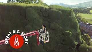 What It Takes to Maintain the Biggest Hedges in the UK [upl. by Atived512]