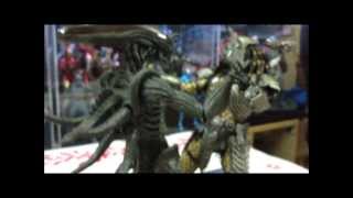 Hot Toys AVP Scar Predator with Alien Warrior [upl. by Vasiliu896]