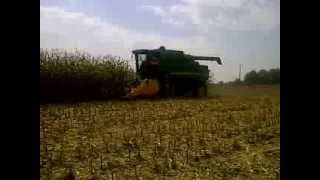 Grecav chopper corn head demo at Woodstock farm show [upl. by Weisbart]