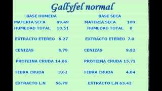 ALIMENTO ESPECIAL PARA GALLOS DE PELEA GALLYFEL [upl. by Tekla]