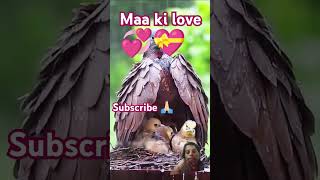 The Science of Maternal Love❤ maa motherlove brid love [upl. by Inajna]