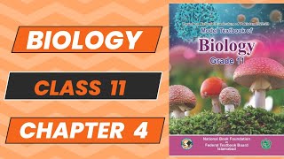 Biology 11 Chapter 4 Bioenergetics Topic 1 Part 1 New Book NBF 2024 Complete Explanation FBISE [upl. by Astrahan517]