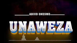 Abiud Onesmo Unaweza Official Audio [upl. by Ahseyi678]