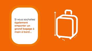 Explication des bagages à main [upl. by Einaffets]