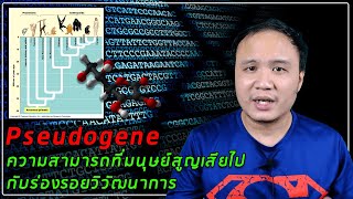 Genome EP06  Pseudogene ยีนเทียม ความสามารถที่มนุษย์สูญเสียไป กับร่องรอยวิวัฒนาการ [upl. by Udell]